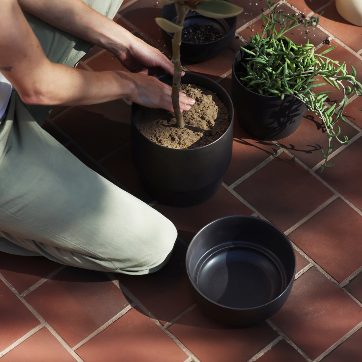 The Planter